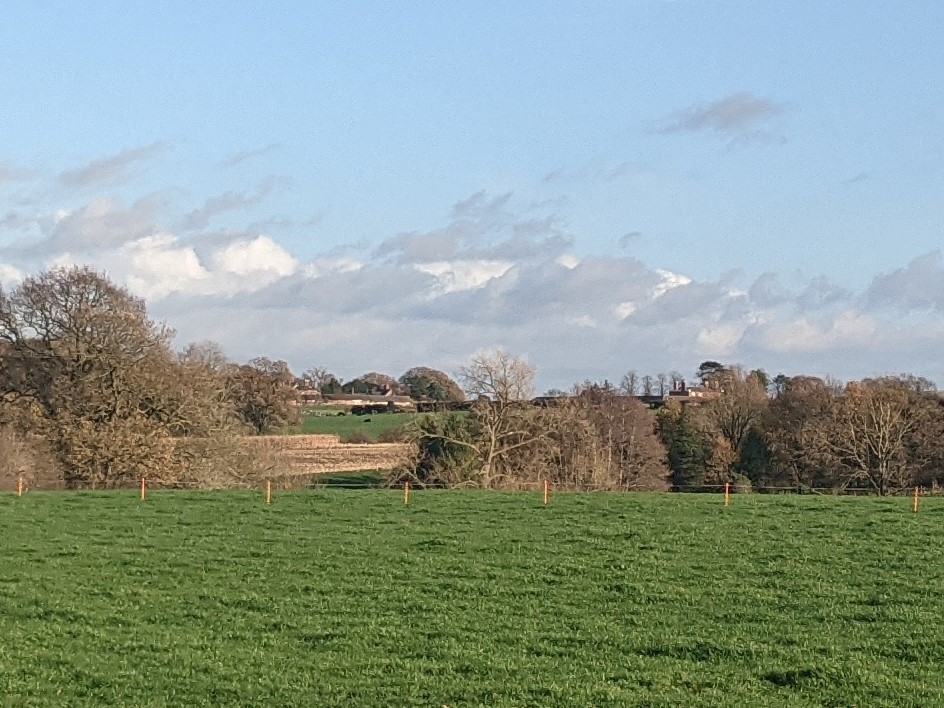 View from Monks Hall farm, November 22nd